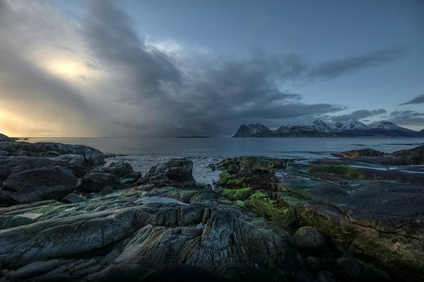 Xn  Voyagecuriosit Okb